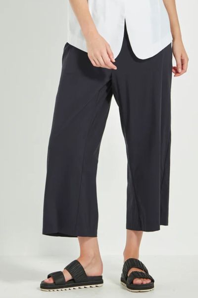 Acrobat Okawa Pant By Verge In Ink