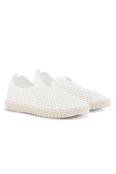 Tulip Flat By Ilse Jacobsen In White