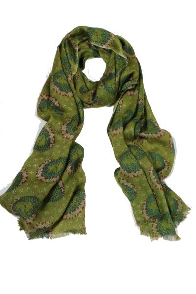 Erfurt Soft Printed Wool Model Scarf In Green