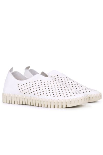 Tulip Flat By Ilse Jacobsen In White
