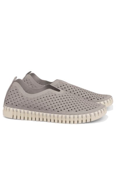 Tulip Flat By Ilse Jacobsen In Atmosphere