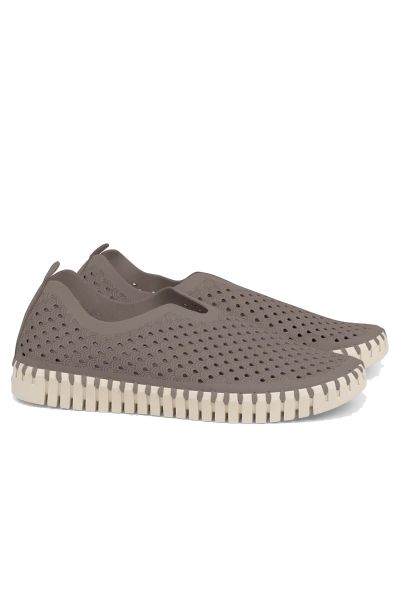 Tulip Flat By Ilse Jacobsen In Falcon