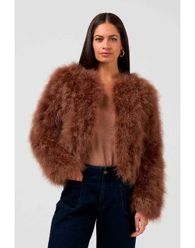 Loobies Story Carlo Jacket In Cocoa