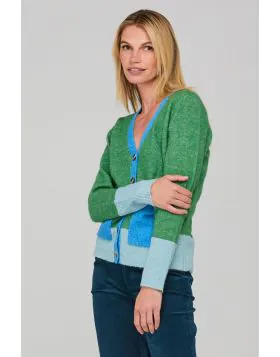 Boom Shankar Poet Cardi In Green