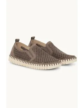 Tulip Elastic Flat By Ilse Jacobsen In Falcon