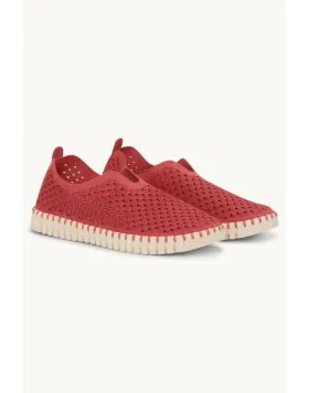 Tulip Flat By ilse Jacobsen In Baked Apple