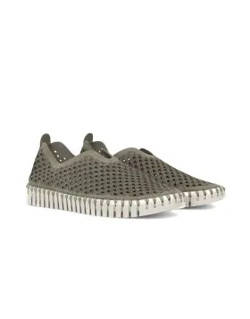 Tulip Flat By Ilse Jacobsen In Army