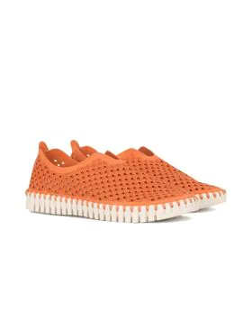 Tulip Flat By Ilse Jacobsen In Camelia