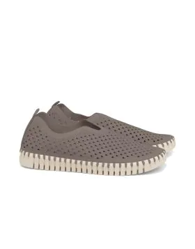 Tulip Flat By Ilse Jacobsen In Falcon