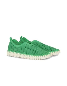 Tulip Flat By Ilse Jacobsen In Fern