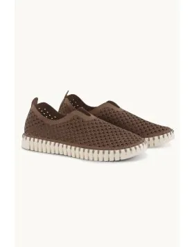 Tulip Flat By ilse Jacobsen In Mocca