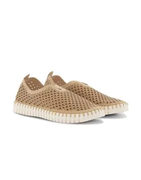 Tulip Flat By Ilse Jacobsen In Latte