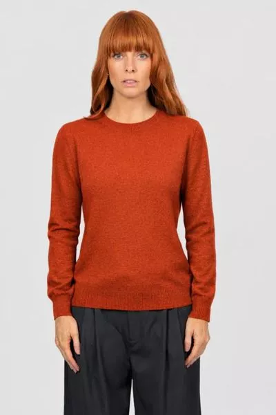 Bridge and Lord Chloe Crew Neck Pullover In Cognac