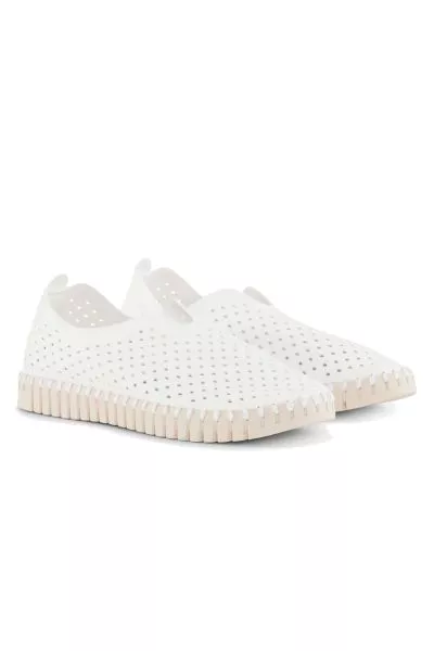 Tulip Flat By Ilse Jacobsen In White