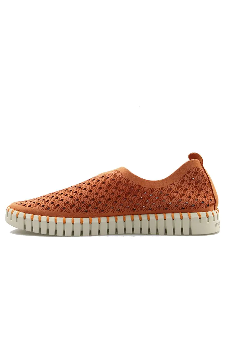 Reads Online Tulip Flat By Ilse Jacobsen In Camelia