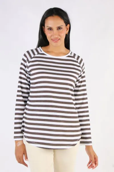 Goondiwindi Cotton Stripe Raglan Tee In Chocolate