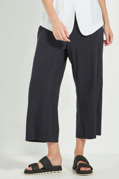 Acrobat Okawa Pant By Verge In Ink