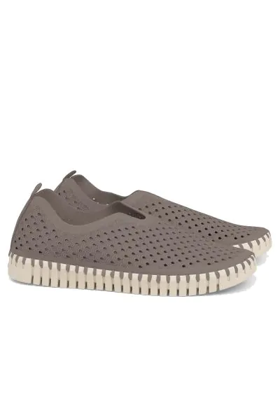 Tulip Flat By Ilse Jacobsen In Falcon