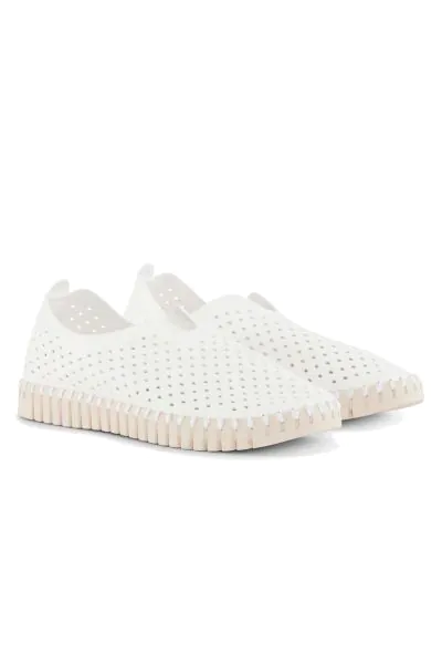 Tulip Flat By Ilse Jacobsen In White