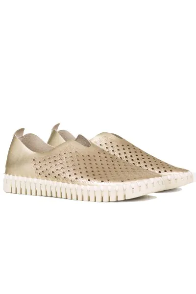 The iconic Tulip shoe by ILSE JACOBSEN. The upper is made of recycled microfiber with a decorative laser cut pattern attached to our iconic Tulip outsole, with match colored recycled thread, using no glue. The insole, has padding and support, ensuring gre