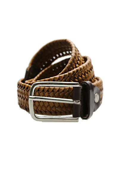 Woven Belt By Vanzetti In Camel