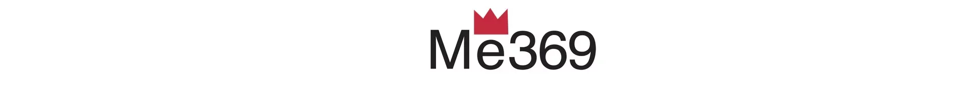 ME369
